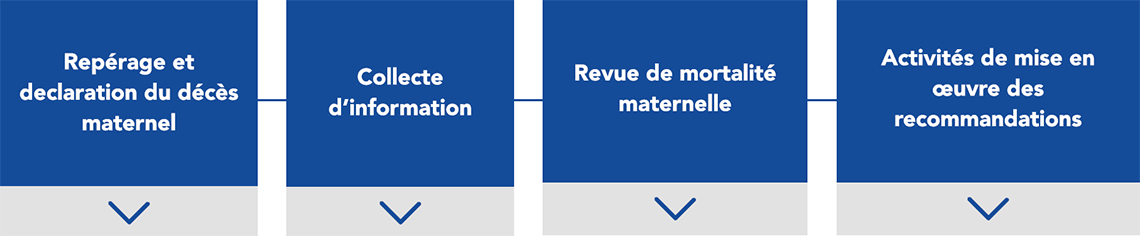 Maternal Mortality Review Cycle